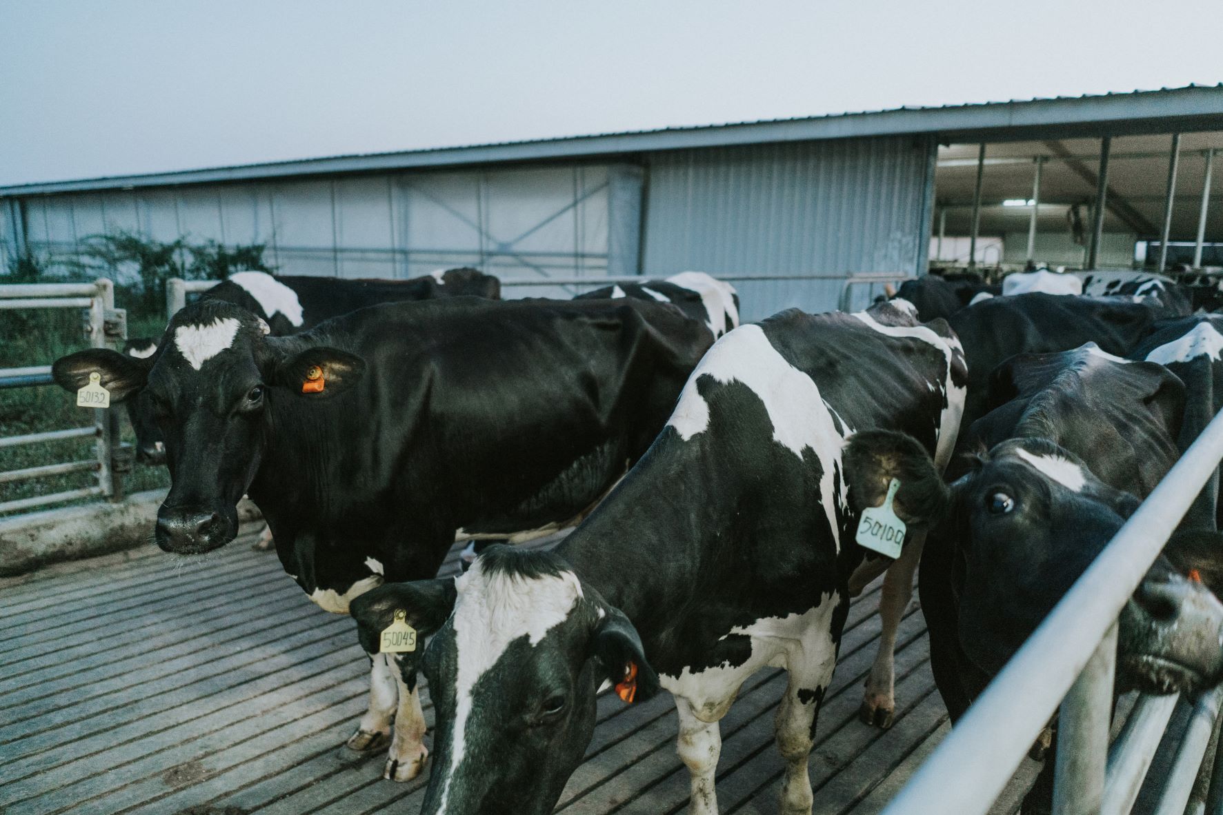 Hometown Dairy