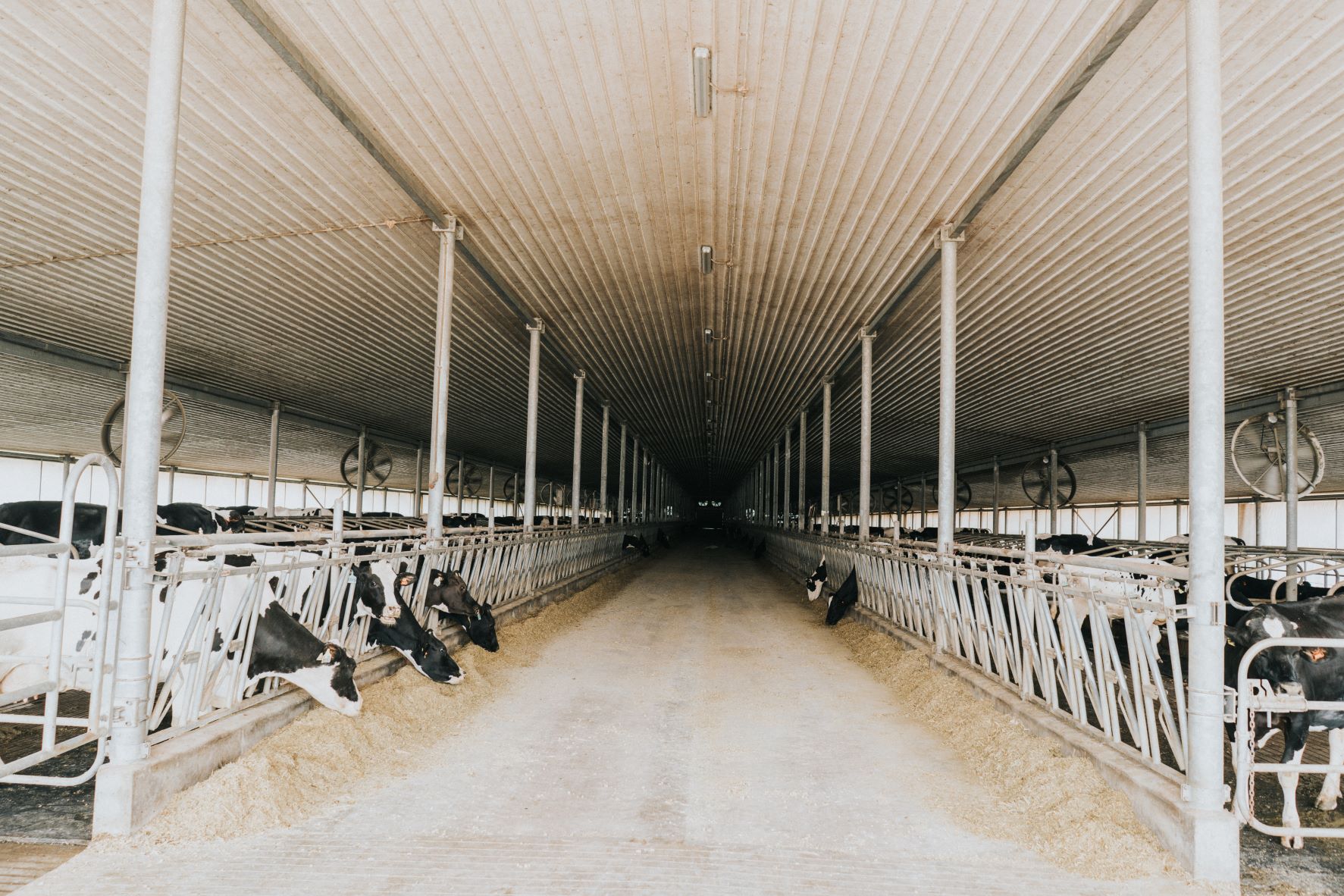 Hometown Dairy